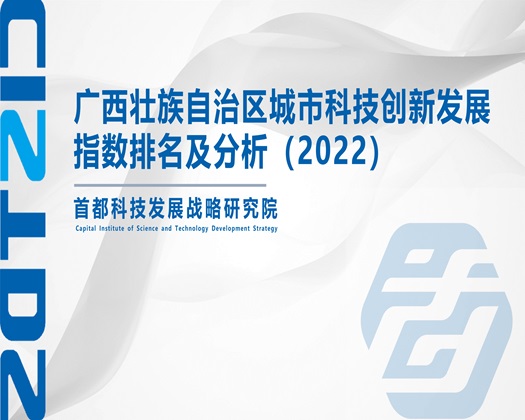 肏嫩B【成果发布】广西壮族自治区城市科技创新发展指数排名及分析（2022）